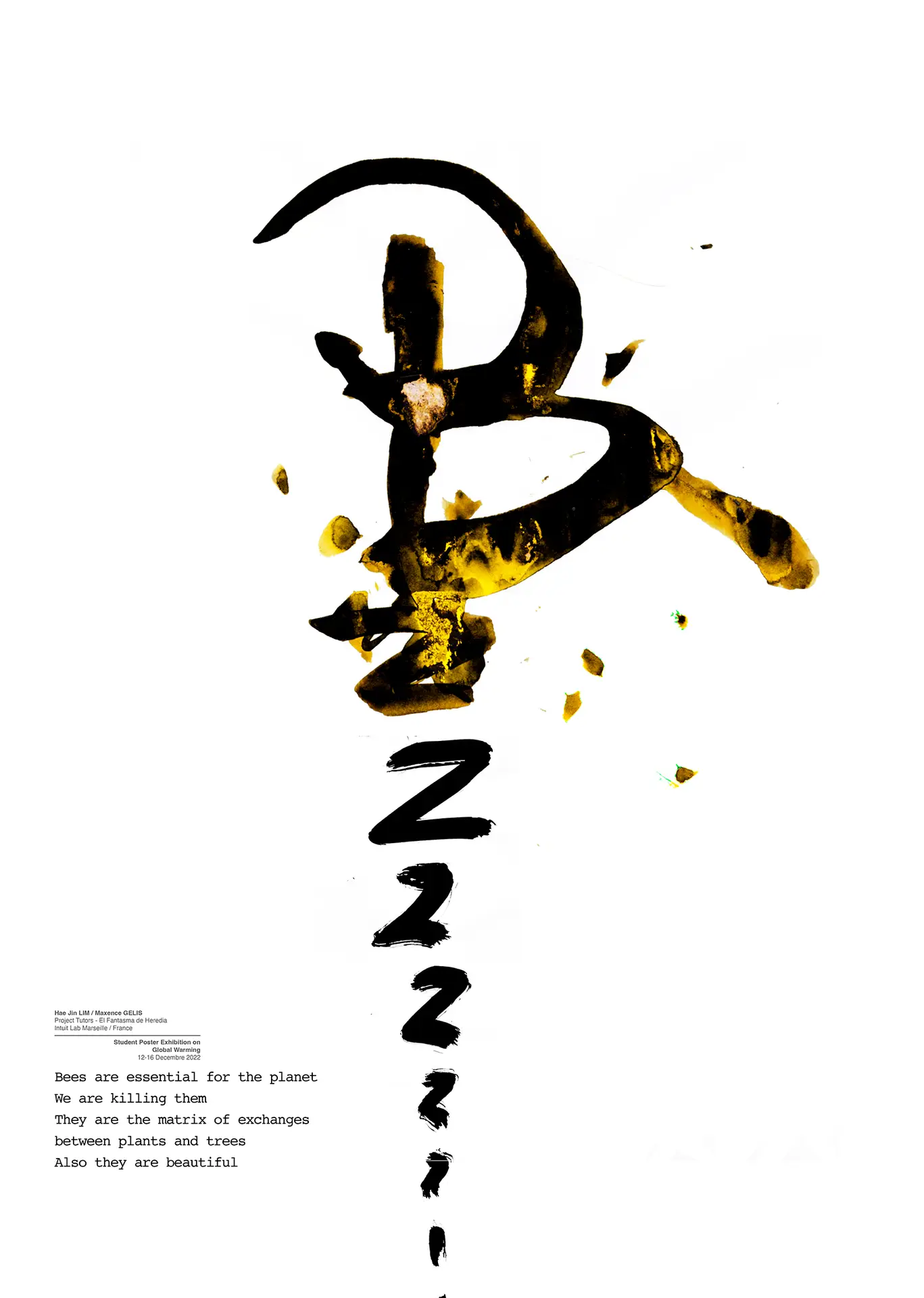 Poster Hae Jin LIM _ Maxence GELIS